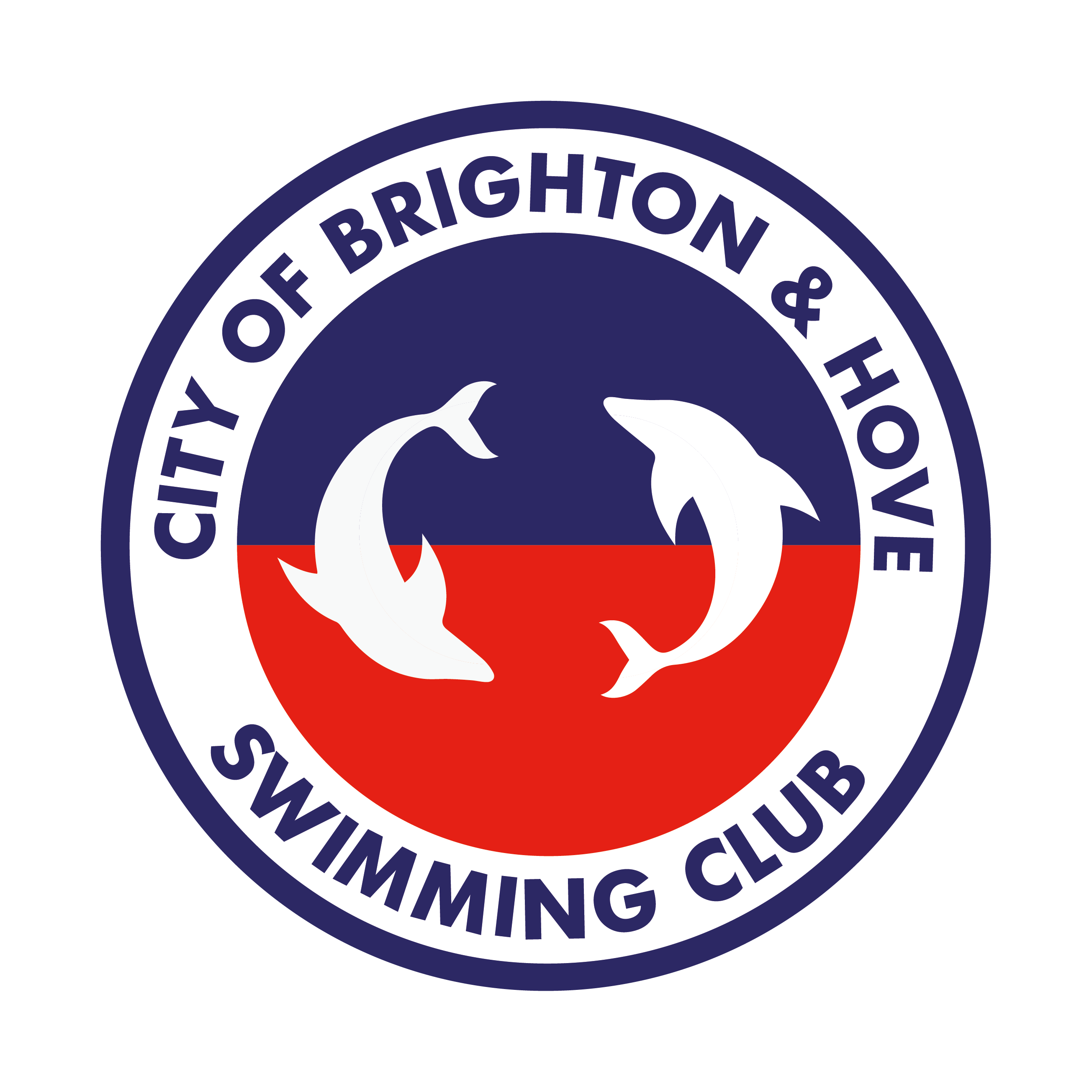 City of Brighton & Hove Swimming Club